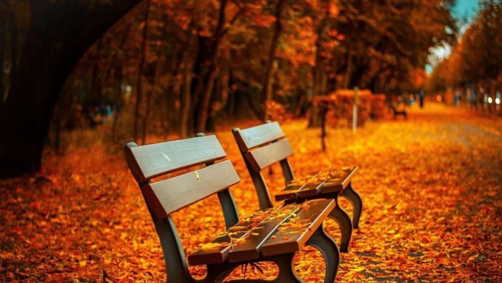 best time to visit Kashmir